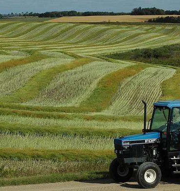 agri كيفاش نرجّعوا للفلاحة دورها الهامّ في العجلة الاقتصادية؟