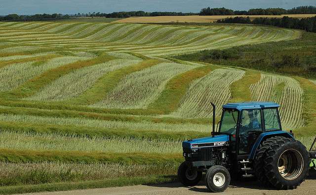 agri Episode