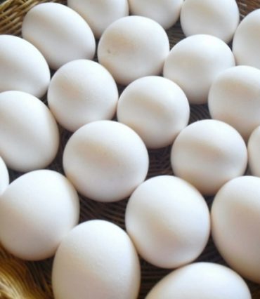 oeufs سوم حارة العظم ينجم يوصل الى 1500 مليم مع عضو المجلس الوطني للنقابة التونسية للفلاحين