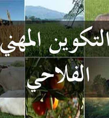 tak وقتاش باش تنطلق الدورة التكوينية ببن عروس اختصاص اشجار مثمرة