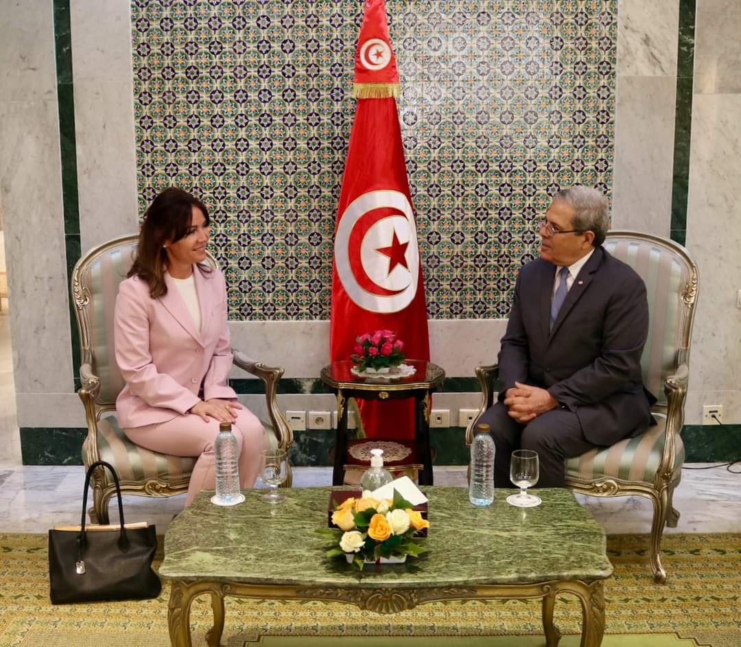 conseil de leurope Le Conseil de l'Europe met au service de la Tunisie son expertise pour accompagner son processus politique