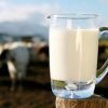 Les arriérés des subventions de l’Etat pour la collecte et l’exploitation du lait ont dépassé les 250 millions de dinars