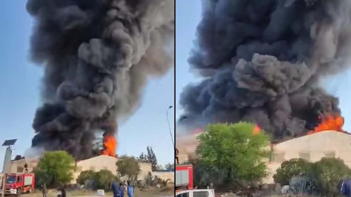 15D6F3A3 991A 4A03 8E31 FD7DB3D8F22E حريق هائل بمصنع "فريب" في ولاية بن عروس