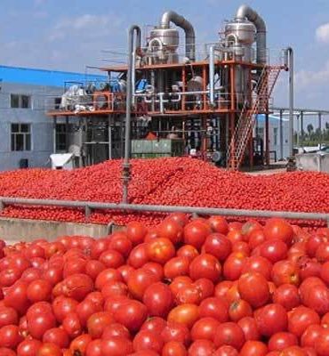 tomate tunisie sidi bouzid بين الجهات: نابل: تراكم الاشكاليات المرتبطة بقطاع تحويل الطماطم تهدد القطاع، ض يسبب ضيفنا رئيس الاتحاد الجهوي للفلاحة بولاية نابل عماد الباي