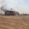 باجة: 34 حريقًا في محاصيل الحبوب والأعلاف و6 حرائق بالغابات