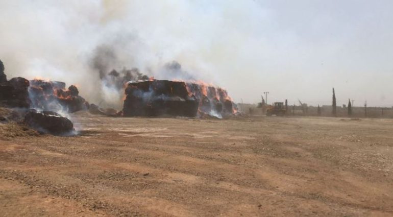 الحرائق باجة: 34 حريقًا في محاصيل الحبوب والأعلاف و6 حرائق بالغابات