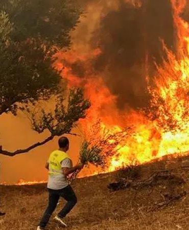 fire الجزائر: ايقاف 3 متهمين بحرق محاصيل زراعية “عمداً” بالطارف