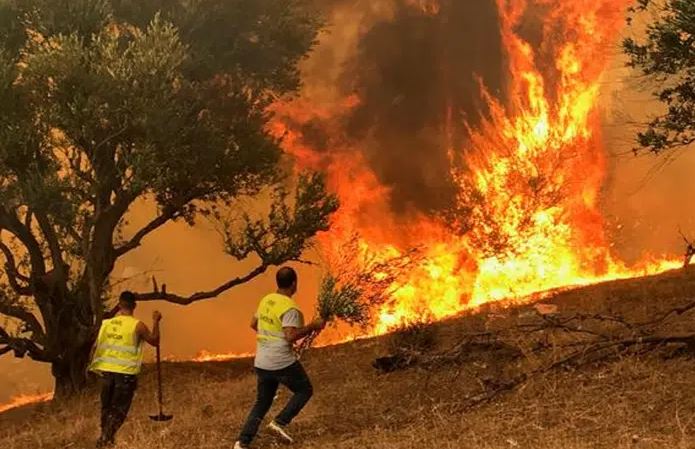 fire الجزائر: ايقاف 3 متهمين بحرق محاصيل زراعية “عمداً” بالطارف