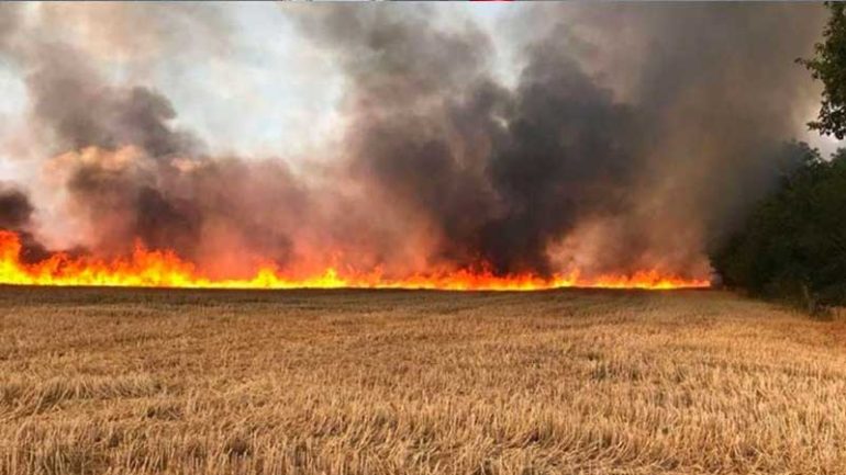 حريق جبل مزاتة سليانة: السيطرة على حريق اندلع بجبل مزاتة من معتمدية برقو