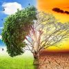 زهير الحلاوي: تونس تأخرت في وضع استراتيجية لمواجهة التغيرات المناخية