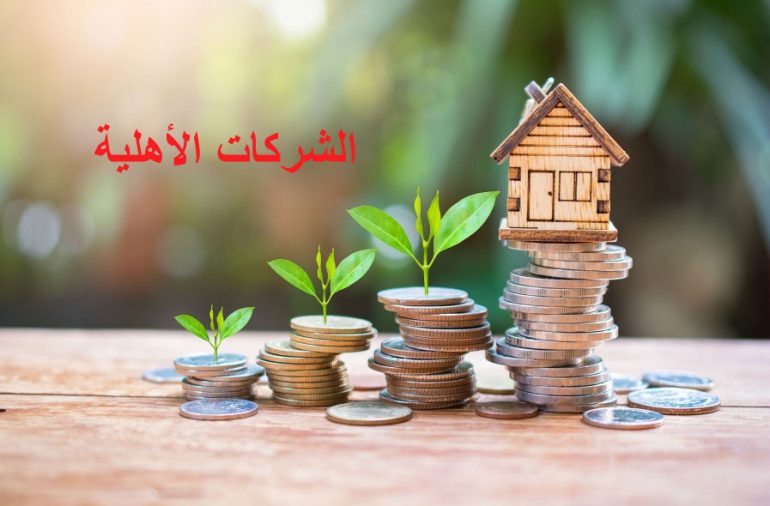 الشركات الأهلية البنك التونسي للتضامن يموّل 100 شركة أهلية..