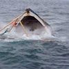 إخراج مركب صيد غرق بالمياه الإقليمية إلى ميناء جرجيس