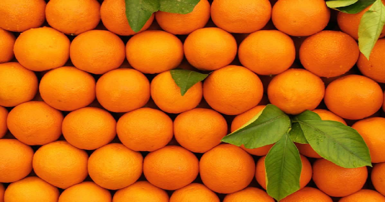 برتقال عماد الباي: 90% من صادرات البرتقال المالطي موجهة إلى فرنسا