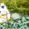 ارتفاع استعمال المبيدات في العالم بنسبة 80 بالمائة