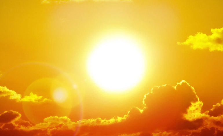 canicule