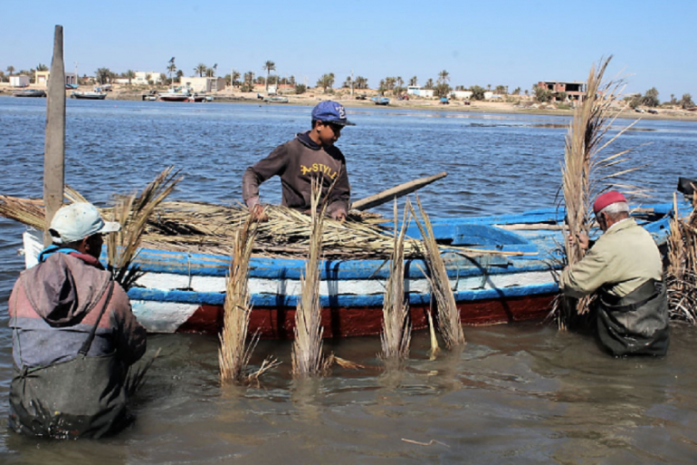 Sans titre 126 Kerkennah: Formation à la fabrication des nasses utilisées dans la pêche à la charfia