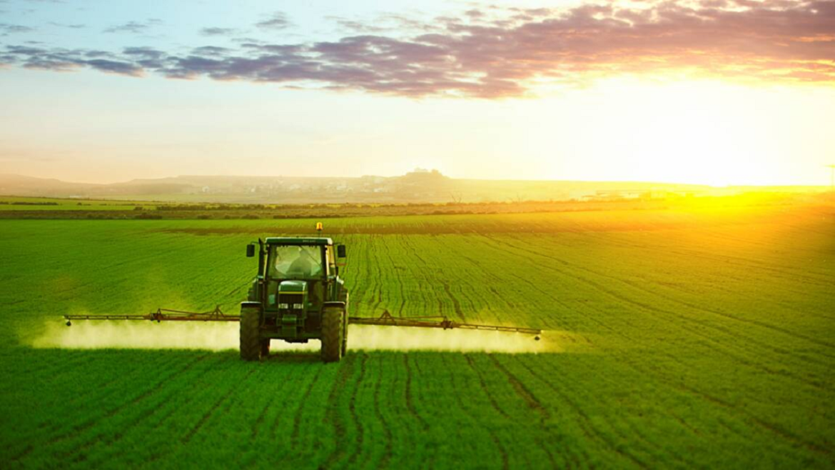 Sans titre 145 Le ministère de l'Agriculture fixe un programme pour fournir des quantités de semences sélectionnées et ordinaires