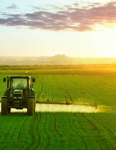 Sans titre 145 Le ministère de l'Agriculture fixe un programme pour fournir des quantités de semences sélectionnées et ordinaires