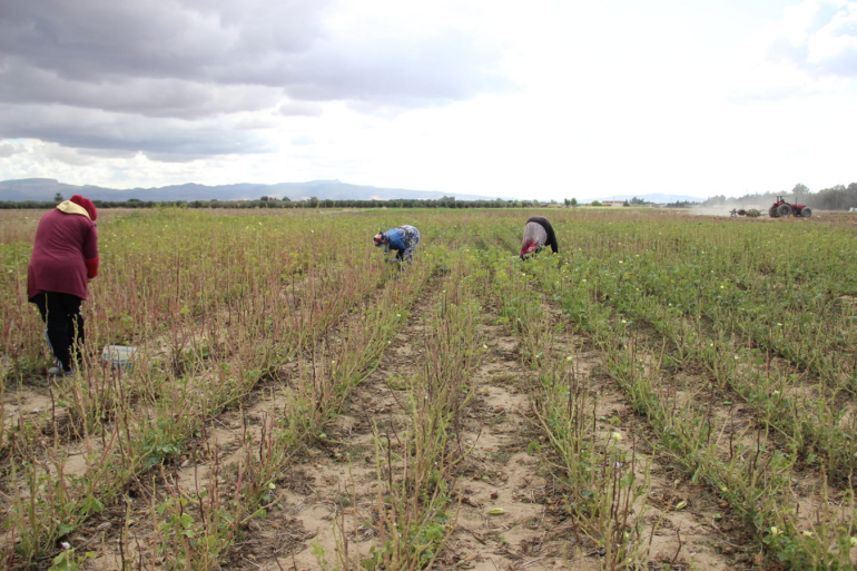 Sans titre 166 Des mesures exceptionnelles pour financer les campagnes agricoles et les petits agriculteurs