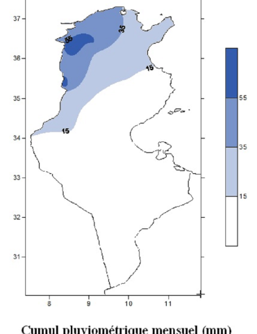 Sans titre 20 La Tunisie a connu son 6e mois de juin le plus pluvieux depuis 1950 (INM)