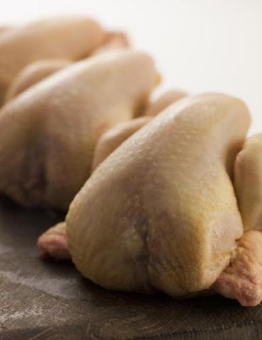 Sans titre 90 Hausse de la production de poulet de chair de 3,9%