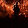 الجزائر: وفاة 6 أشخاص في حرائق الغابات