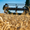 Filière céréalière : Un accord va être conclu entre le ministère de l’Agriculture et la BNA pour financer la production de blé dur