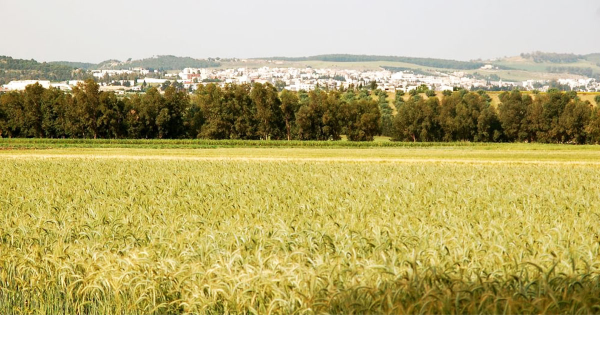 Sans titre 17 Impératif d'intensifier les efforts pour renforcer les échanges commerciaux des produits agricoles