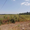 Récupération d’un terrain domanial agricole d’une superficie de 117 hectares à Nabeul