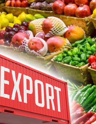 Sans titre 36 Agriculture-Export:: Baisse des exportations des fruits de 44,7%