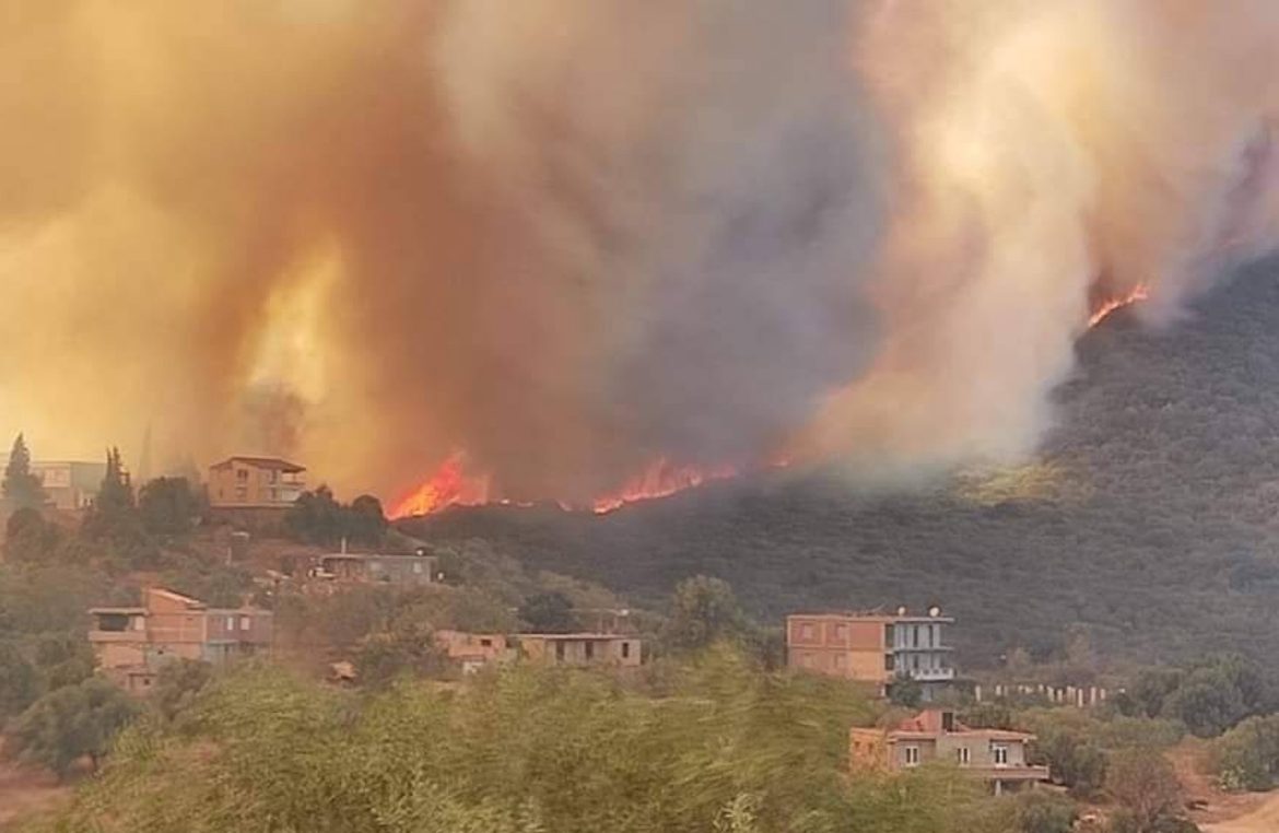 الجزائر الجزائر: السيطرة على 20 حريق غابات في ولاية بجاية