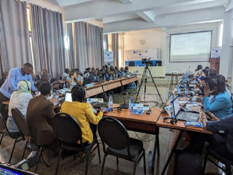 Sans titre 223 COMESA: Formation de journalistes de l'Afrique du Nord et de l'Est sur les programmes de la COMESA