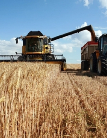 Sans titre 241 Tunisie -BM : Vers la mise en place d'une stratégie pour l'encadrement des agriculteurs et le développement de la filière céréalière