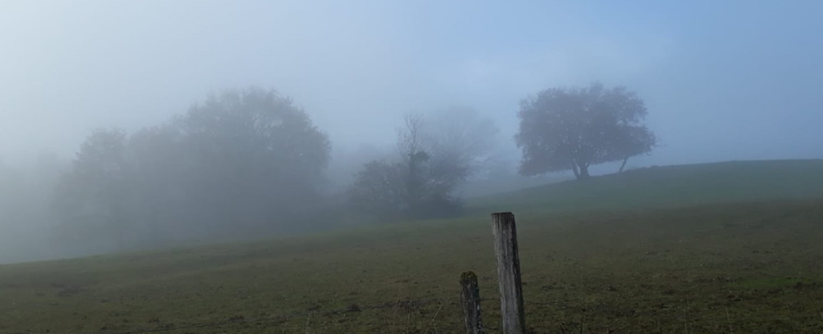 Sans titre 4 Météo: Brumes locales le matin