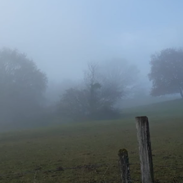 Sans titre 4 Météo: Brumes locales le matin