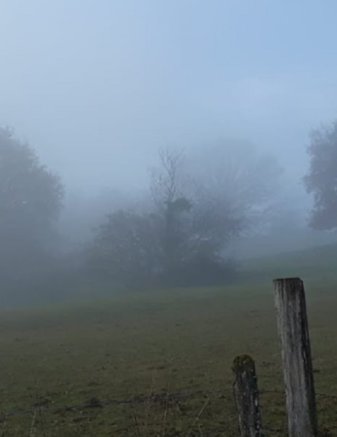 Sans titre 4 Météo: Brumes locales le matin