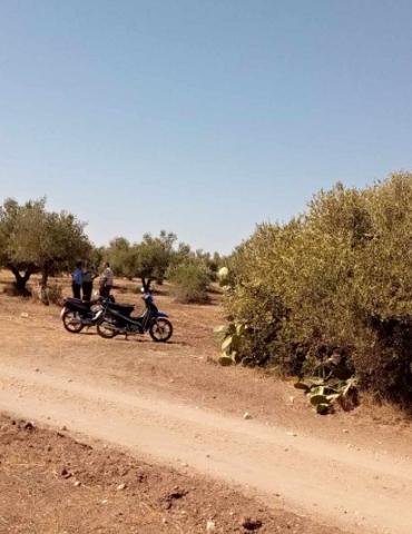 Sans titre 97 Zaghouan : Récupération de 4 terrains domaniaux agricoles à Bir Mchargua