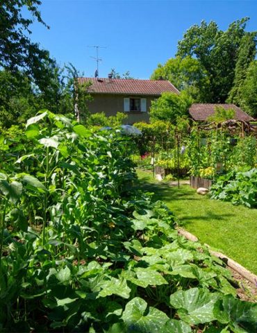 image De Mornag à Ghomrassen, la permaculture offre à des Tunisiens des alternatives de vie et d’épanouissement