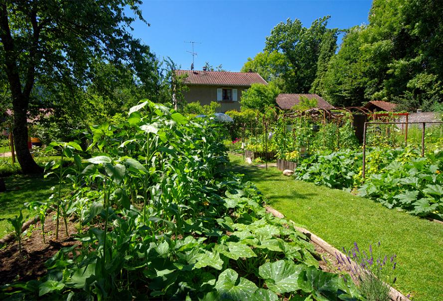 image De Mornag à Ghomrassen, la permaculture offre à des Tunisiens des alternatives de vie et d’épanouissement