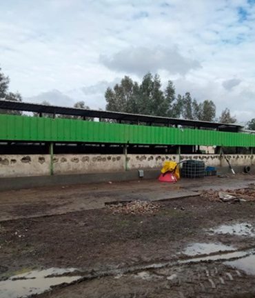 ferme domaniale agricole dans la delegation de sidi thabet