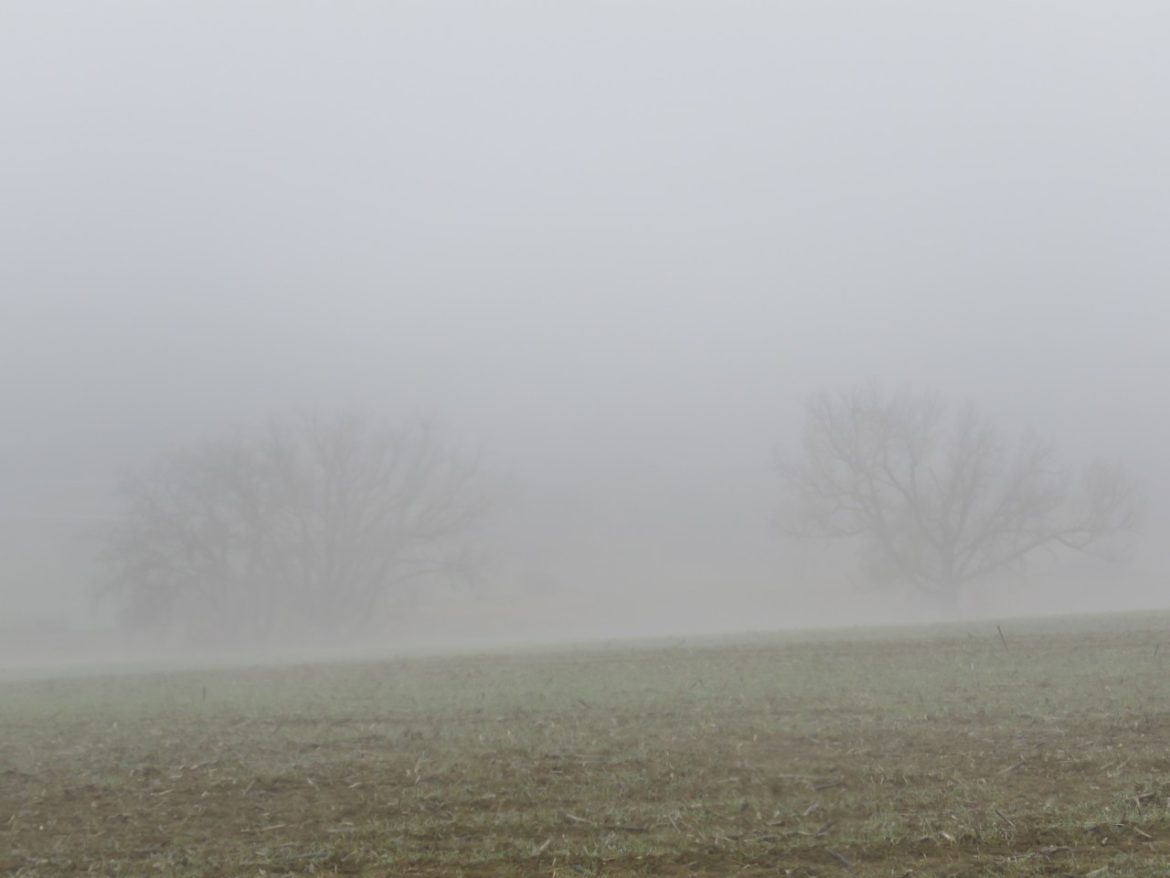 img 2649 Météo : Brumes localement denses sur la plupart des régions