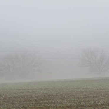 img 2649 Météo : Brumes localement denses sur la plupart des régions