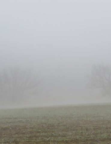 img 2649 Météo : Brumes localement denses sur la plupart des régions