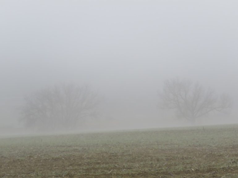 img 2649 Météo : Brumes localement denses sur la plupart des régions