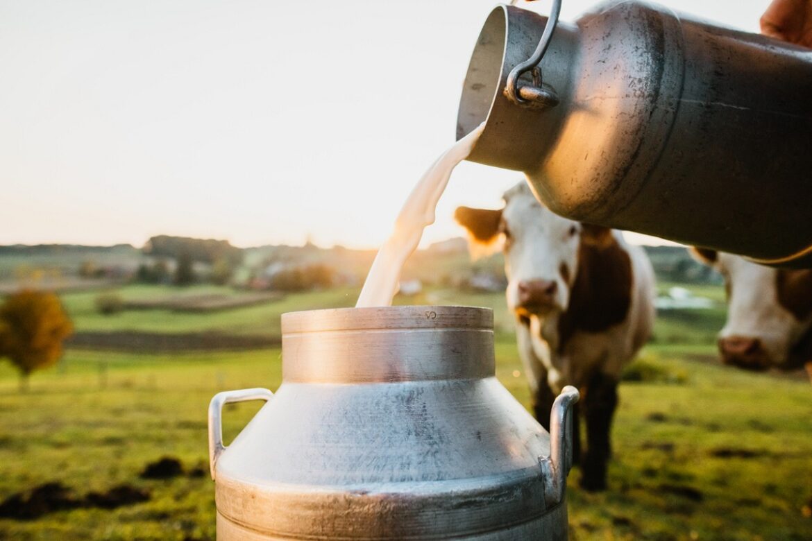 MilkUkraine Hausse des quantités produites et commercialisées du lait demi écrémé subventionné à 1,7 million de litres par jour