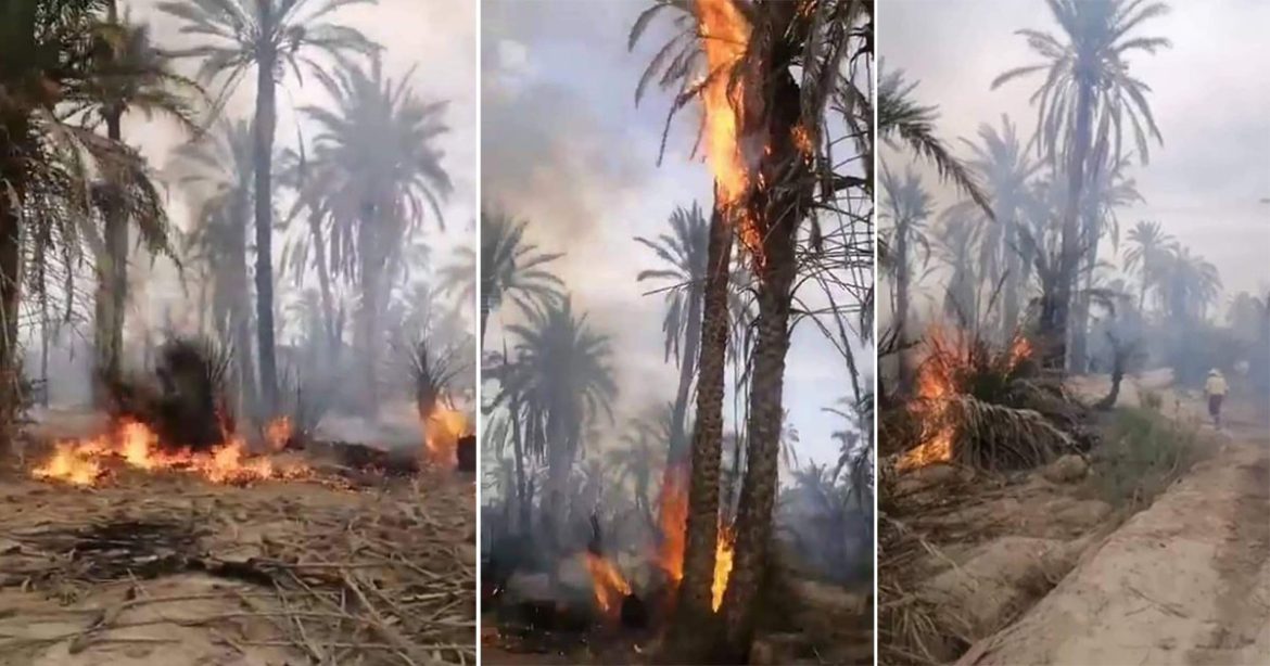 حريق إخماد حريق هائل نشب في واحة قابس