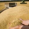 روسيا تشحن 200 ألف طن من الحبوب المجانية إلى 6 دول أفريقية