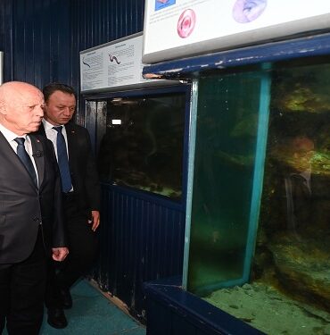 Kais Saied Dar El Hout Kais Saied : Dar El Hout, la piscine de Belvédère et les bibliothèques nationales sont les cibles des lobbies