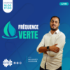 #Fréquence_Verte