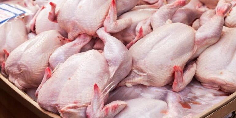 poulet 1 رئيس الغرفة الوطنية لتجار الدواجن: سجّلنا تراجعا كبيرا في الإقبال على لحوم الدواجن